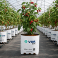 Cargar la imagen en la vista de la galería, Fibra de coco - Cultivo frambuesa
