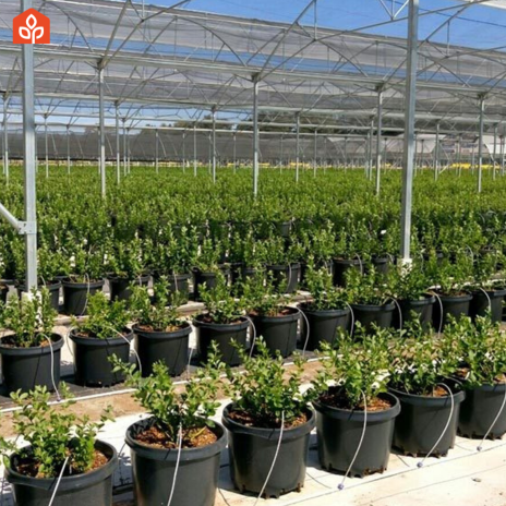 Hydroponics accessories and supplies