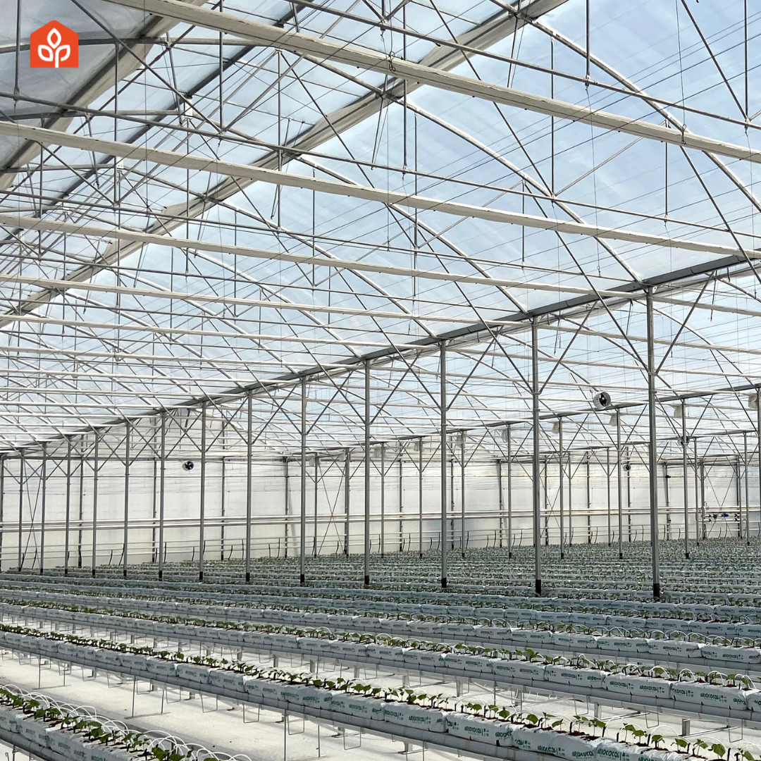 Greenhouse plastics