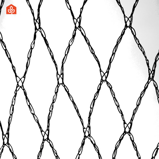 Anti-bird netting