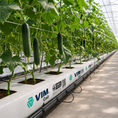 Cargar la imagen en la vista de la galería, Fibra de coco - Cultivo Pepino
