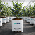 Cargar la imagen en la vista de la galería, Fibra de coco - Cultivo Árandanos
