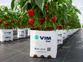 Load image into Gallery viewer, Fibra de coco - Cultivo Pimiento
