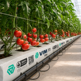 Cargar la imagen en la vista de la galería, Fibra de coco - Cultivo Tomate
