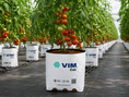Cargar la imagen en la vista de la galería, Fibra de coco - Cultivo Tomate
