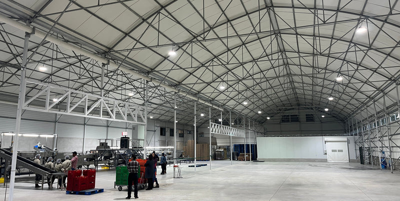 Greenhouse for seedlings, grafts, technical rooms
