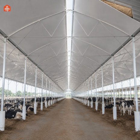Plástico ganadero interior para aislamiento