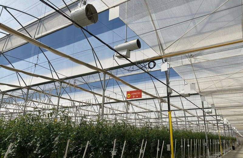 PROYECTO JALISCO | 70 HA