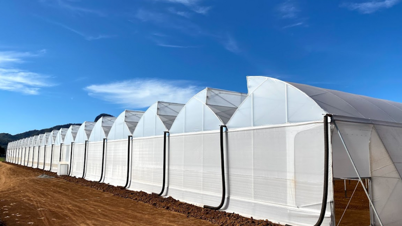 Fixed window greenhouse