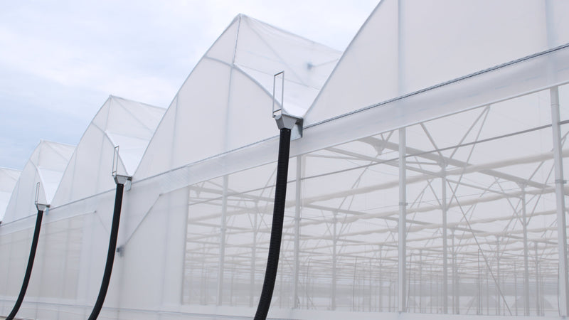 Fixed window greenhouse
