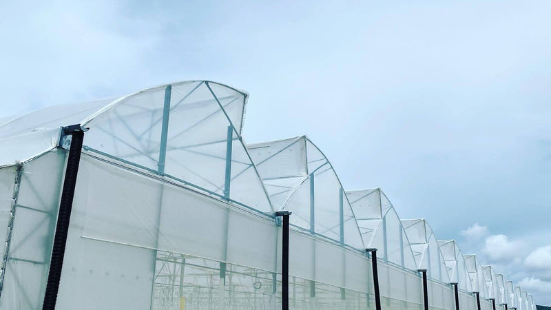 Fixed window greenhouse