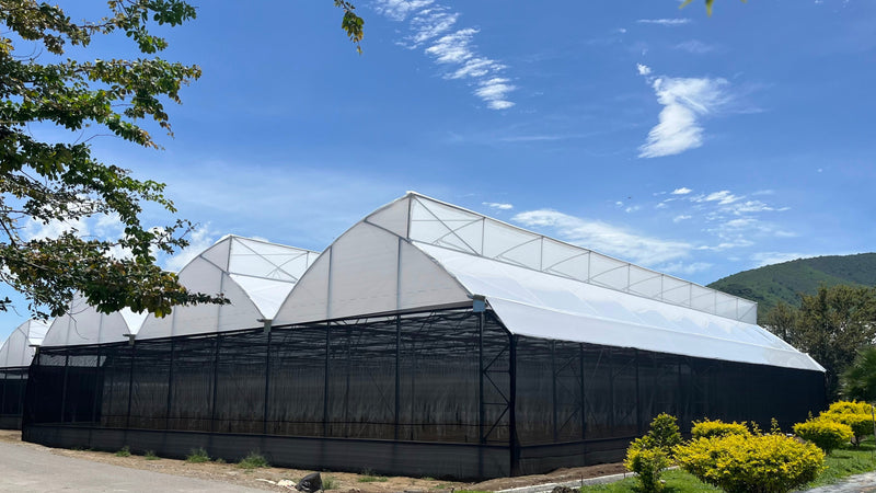 Fixed window greenhouse
