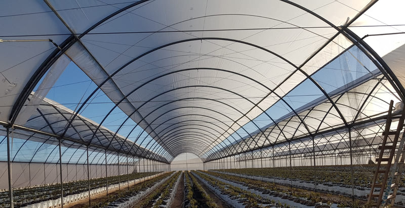 Macrotunnel