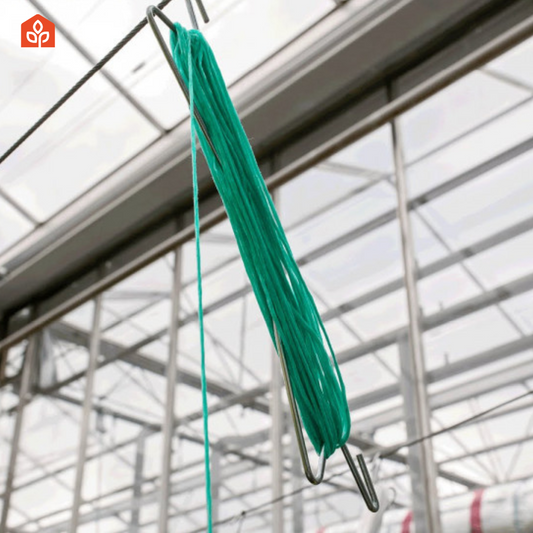Tomato Hook