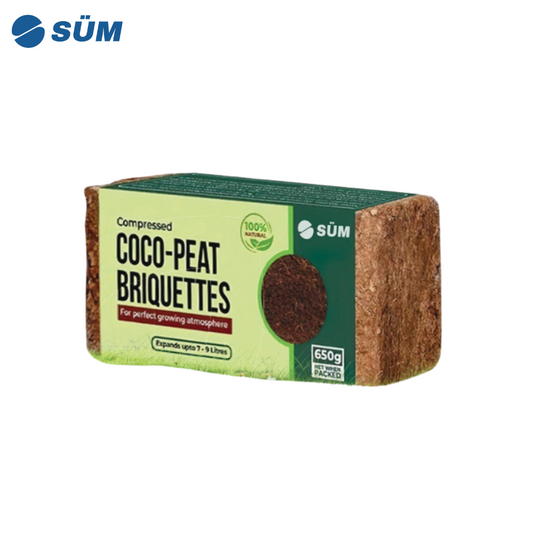 Coconut fiber briquette