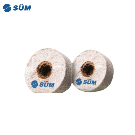 Coconut fiber coin